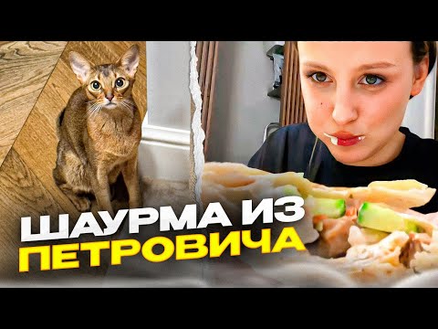 Видео: КАЯ и ПЕТРОВИЧ готовят ШАУРМУ!