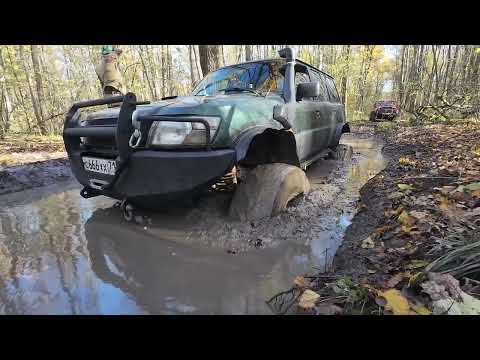 Видео: Патруль на порталах и 42 тракторах и другие