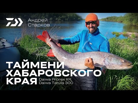 Видео: Таймени Хабаровского края / Андрей Старков