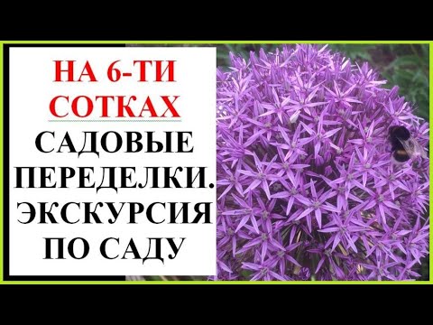 Видео: Экскурсия по июньскому саду. Мои переделки.