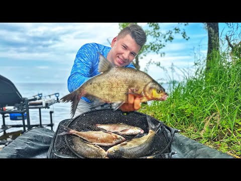 Видео: Рибалка на ЛЯЩА серед міста, на горох🫛