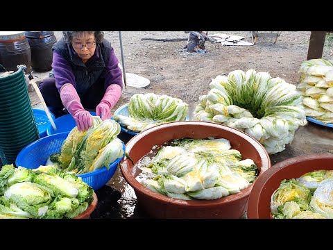 Видео: Как приготовить вкусное корейское кимчи! Полный видео-рецепт за 40 минут (вареная свинина)