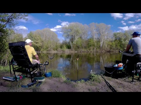 Видео: Фидер в мае на Северском Донце. Неожиданный бонус!