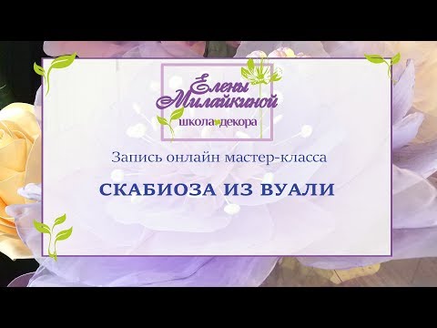 Видео: Запись онлайн мастер класса Скабиоза из вуали