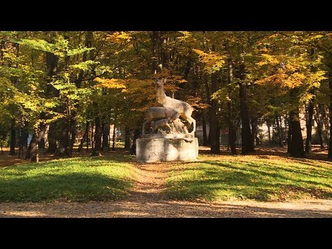 Видео: Коломийський міський парк імені Кирила Трильовського