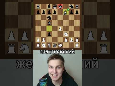 Видео: Ловушка в шотландском гамбите!