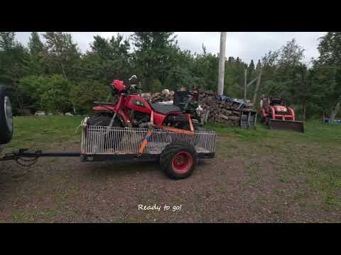 Видео: Ньюфаундленд, прекрасное утро для охоты на куропаток, Центральная Нидерланды, октябрь 2025 г.