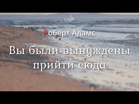 Видео: Роберт Адамс - Вы были вынуждены прийти сюда [Nikosho]