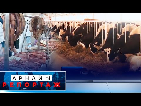 Видео: Ішкі нарықты етпен қамту | Арнайы репортаж