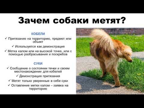 Видео: 3 часть Нечистоплотность и страх одиночества