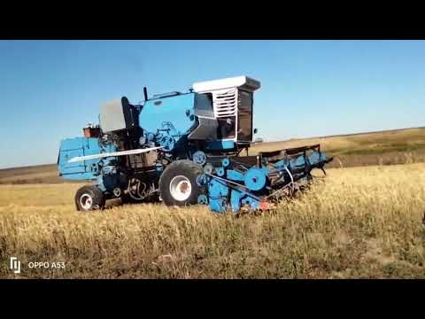Видео: Последние рывки ,уборка урожая идёт к завершению! Комбайн Енесей!