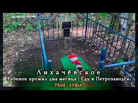 Видео: Ребенок прожил два месяца | Еду в Петрозаводск | Лихачёвское ✞ Уборщик заброшенных могил ✞