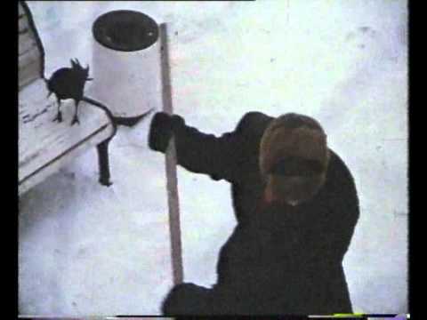 Видео: Алексей Паперный ТАМ. "Твербуль" ("Жизнь Прекрасна").