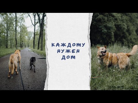 Видео: Ты можешь СПАСТИ чью-то ЖИЗНЬ