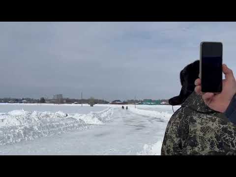 Видео: Конные скачки в Ярковском районе третье место занял наш родственник с Тобольского района, молодец👍