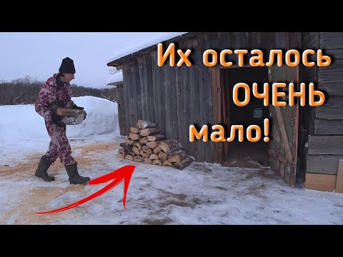 Видео: Расчехлил ПОСЛЕДНИЕ закрома с дровами. Пилю ДРОВА, убираю снег после снегопада. Жизнь в деревне.