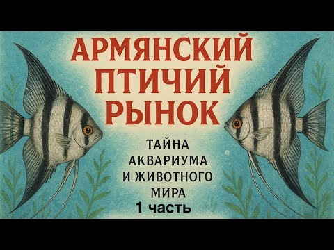 Видео: Армянский птичий рынок ￼1 часть 