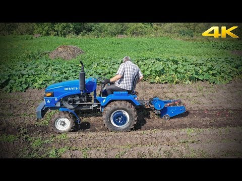 Видео: Минитрактор СКАУТ Т18 с модернизированной транспортерной картофелекопалкой. Копаем картошку 2019