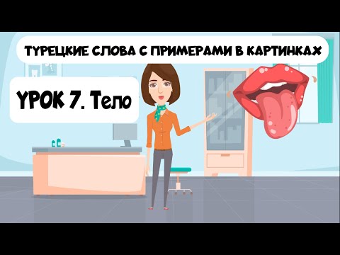 Видео: Слова на турецком языке в картинках с примерами. Урок 7. Части тела