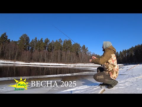 Видео: Рыбалка весной 2025. Ловля щуки на спиннинг. Живу на Земле
