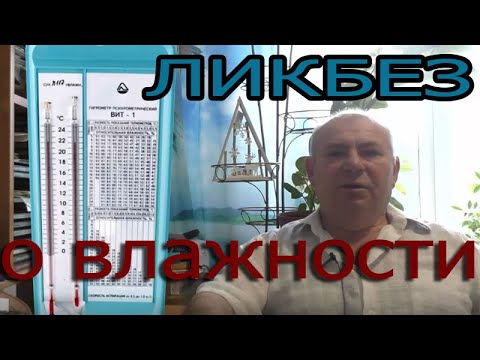 Видео: Нарушение влажности в инкубаторе | Ликбез