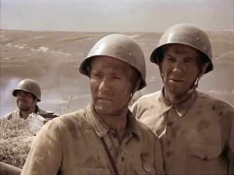 Видео: Они сражались за Родину-"Долетался!"