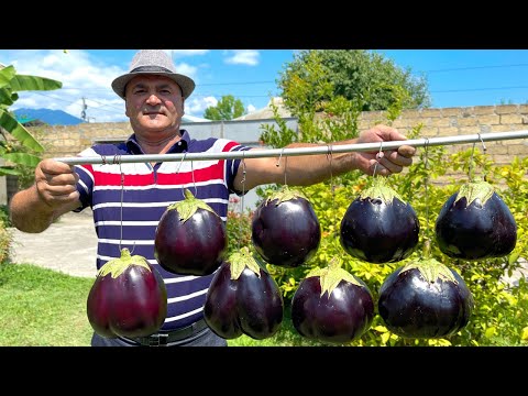 Видео: Огромные большие баклажаны, фаршированные мясом!Это лучшее, что я когда-либо ел!Удивительные рецепты