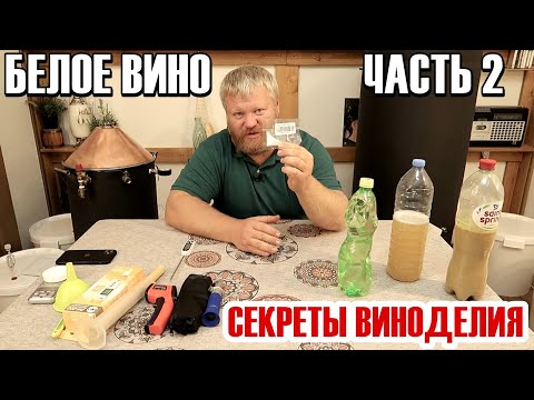 Видео: Белое ВИНО в домашних условиях - Часть 2 - Мускат Оттонель /  КВАРТИРНОЕ ВИНО из Винограда /