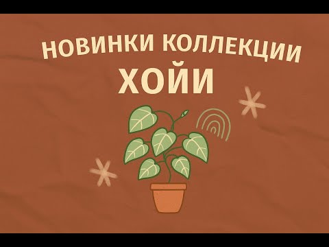 Видео: Новинки коллекции - Хойи