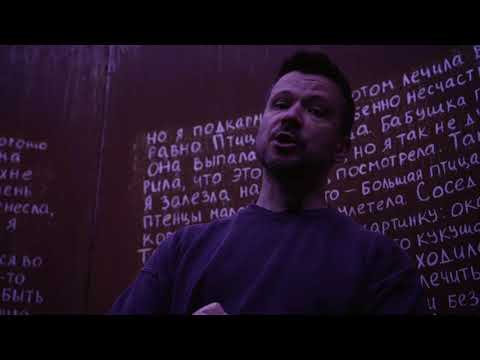 Видео: Про выставку  судьба 7 историй