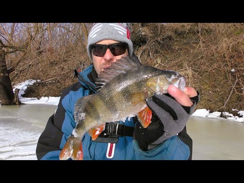 Видео: Ловля на Безмотилку в Кінці Зими