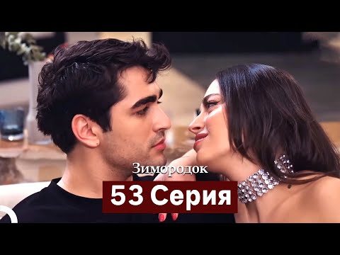 Видео: Зимородок 53 Cерия (Русский дубляж)