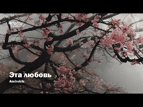 Видео: Amirchik - Эта любовь [speed up]