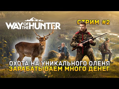 Видео: Стрим Way of the Hunter #2 - Охота на Уникального оленя. Зарабатываем много денег