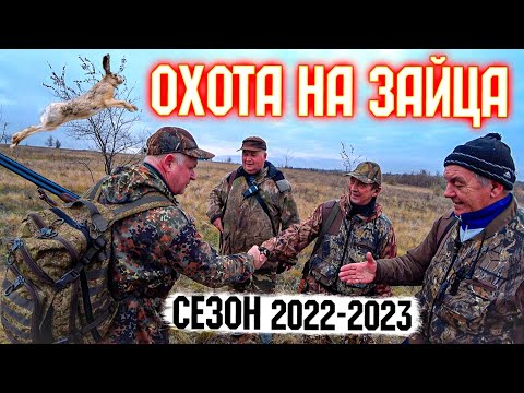 Видео: Охота на зайца.Везучий случай. Сезон 2022-2023.  #охотаназайцапочернотропу #охотаназайца