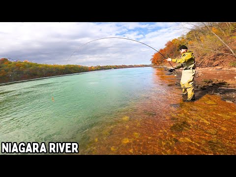 Видео: Большая река, большая форель – рыболовная миссия на реке Ниагара