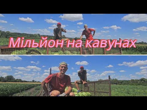 Видео: Мільйон на кавунах. Від А до Я