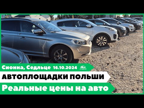 Видео: Автоплощадки Польша. Варшава. 16.10.2024.  Поиск и подбор авто.