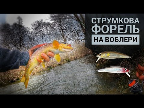 Видео: Форель на воблери. Ультралайт на початку сезона у струмку. Висока вода.