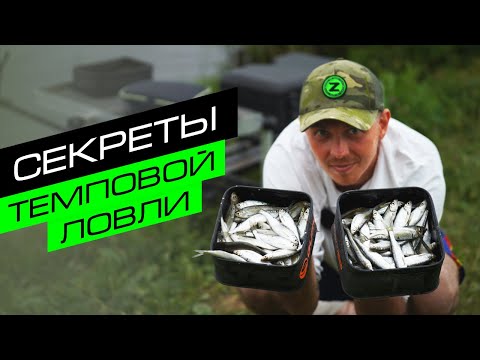 Видео: СЕКРЕТЫ ТЕМПОВОЙ ЛОВЛИ / Ловля уклейки на фидер / Fros Fishing