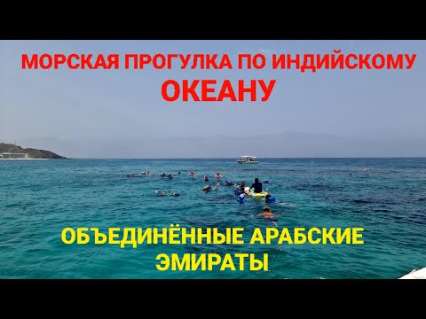 Видео: ЭКСКУРСИЯ ИЗ РАС-ЭЛЬ-ХАЙМА / МОРСКАЯ ПРОГУЛКА ПО ИНДИЙСКОМУ ОКЕАНУ В ОАЭ