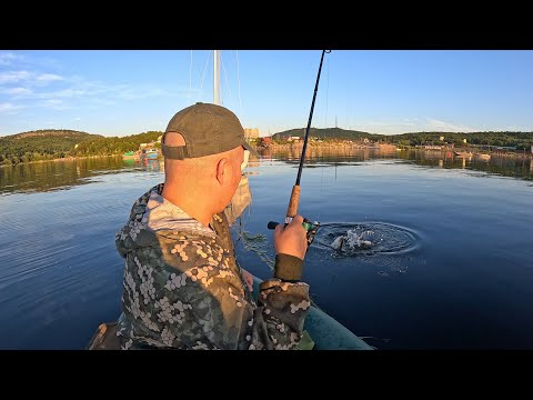 Видео: Вечерняя рыбалка в Кольском заливе / Evening fishing in the Kola Bay