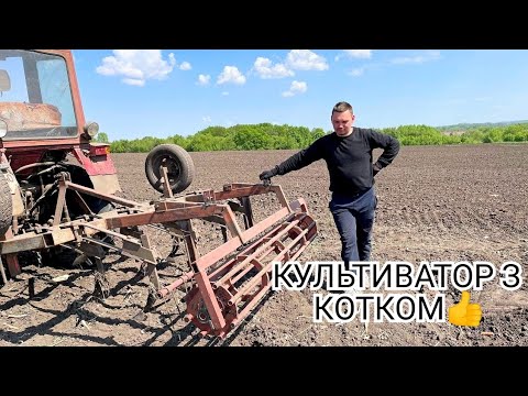 Видео: Такого КУЛЬТИВАТОРА Ви ще не бачили Т-25 в роботі 🚜