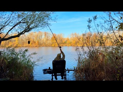 Видео: ФИДЕР В НОЯБРЕ 2024! Фидерная рыбалка осенью по холодной воде. Ловля плотвы и карася на фидер осенью