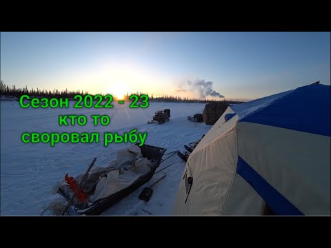 Видео: Открытие сезона 2022 - 23 , гость ворует рыбу .