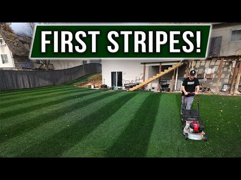 Видео: Первые полоски на BLACKOUT TTTF!