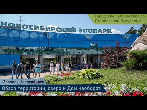 Видео: Новосибирский зоопарк  Осень в Новосибирске