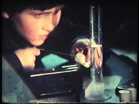 Видео: СМИД Спасибо Вам Учителя