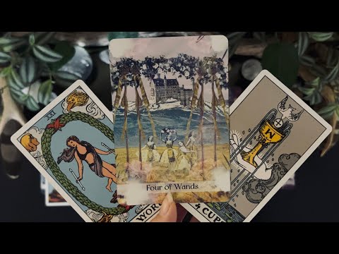 Видео: КОЗЕРОГ «Приготовьтесь отпраздновать этот важный поворот!» Таро 17–23 ноября