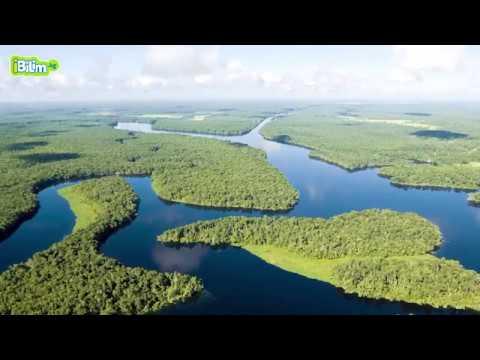 Видео: Материктер/ Түштүк Америка